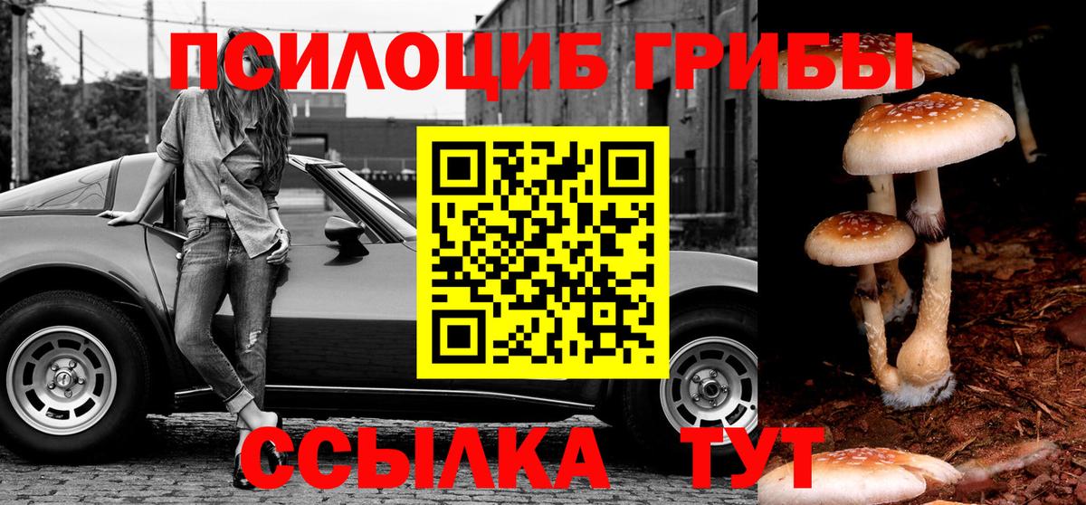 Мытищи  Псилоцибиновые грибы ЛСД  Вход с VPN 